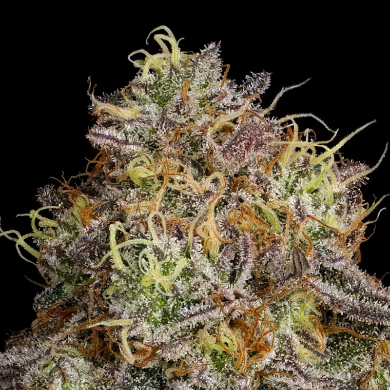 Hybrid Benefits