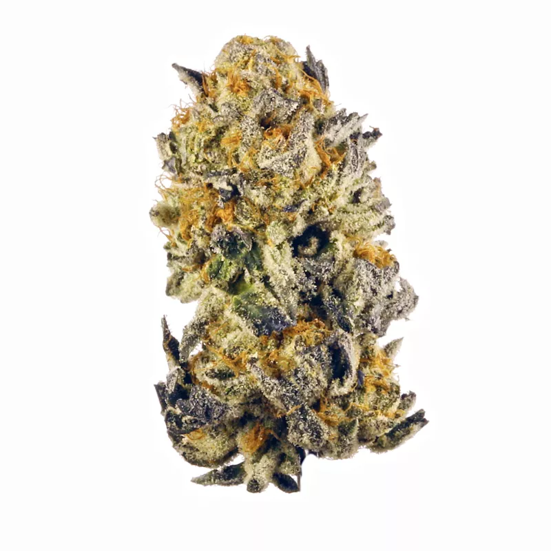 Sativa Benefits