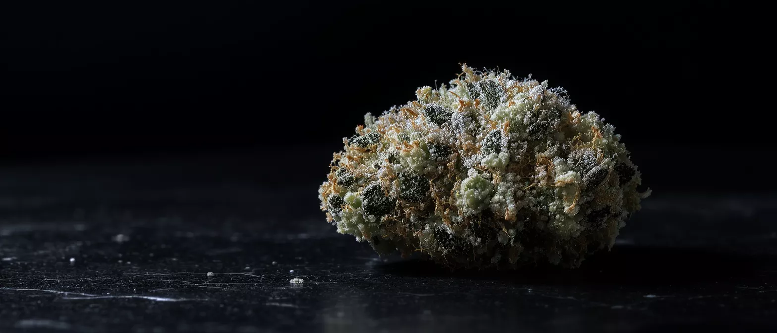 Close-up of a cannabis bud covered in trichomes on a dark surface.