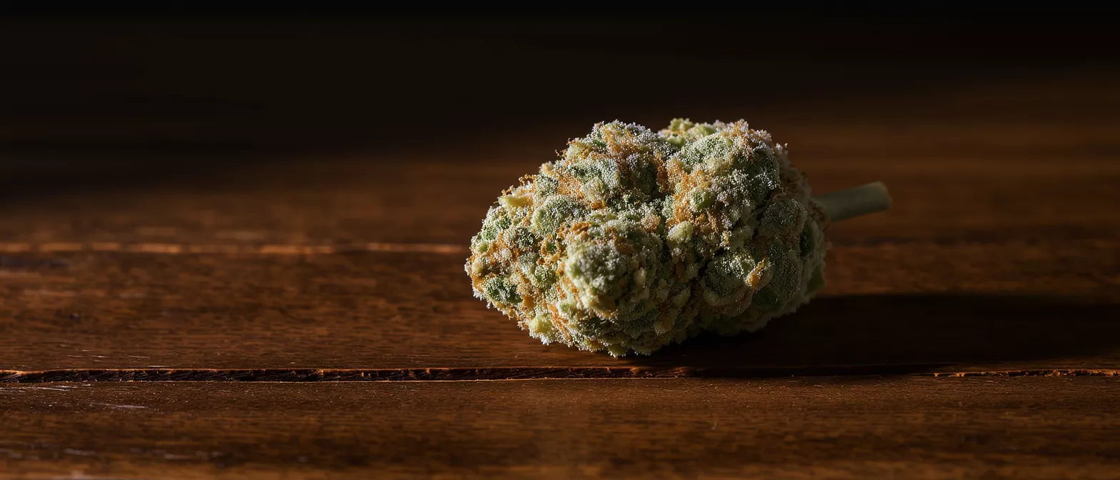 A vibrant cannabis bud with trichomes and orange hairs on a dark wooden surface.