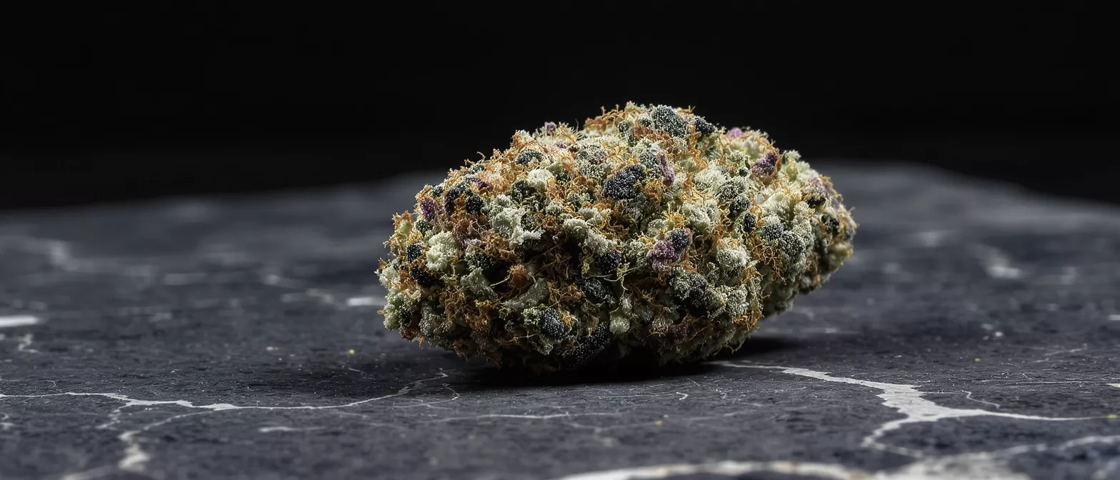 A vibrant cannabis bud with purple, green, and orange hues on a dark background.