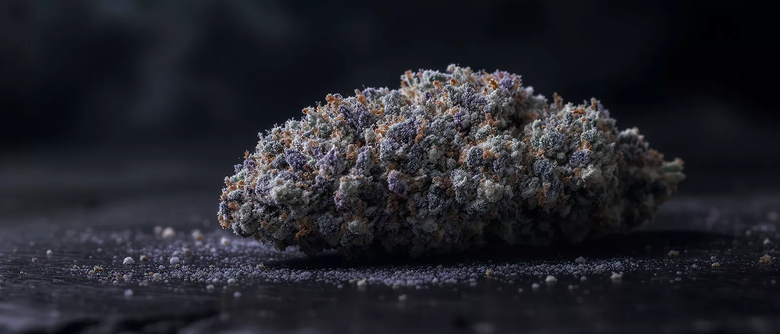 Close-up of a purple and orange cannabis bud on a dark surface.