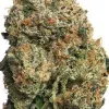 Close-up of dense cannabis bud with green leaves, orange pistils, and frosty trichomes.