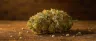 Allkush cannabis strain dense resinous buds