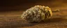 Bad Azz Kush indica cannabis buds close up