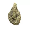 Cannabis bud with green, orange, and purple hues, frosty trichomes, and sticky texture.