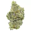 Close-up of a frosty, dense cannabis bud with green, orange, and purple hues.