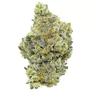 Close-up of a frosty, dense cannabis bud with green, orange, and purple hues.