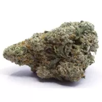 Dairy Queen Hybrid Weed 7g premium cannabis buds with frosty trichomes and orange pistils from Herban Legends