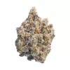 Close-up of frosty cannabis bud with vibrant green, purple hues, and bright orange pistils.