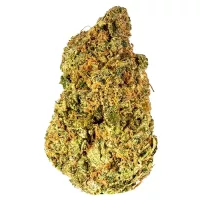 Premium Stardawg hybrid weed buds with crystalline trichomes showing diesel strain characteristics