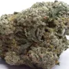 Close-up of frosty cannabis bud with trichomes, green hues, orange pistils, and purple hints.