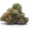 Close-up of a dense cannabis bud with trichomes, pistils, and mixed colors.