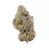 Close-up view of vibrant cannabis bud with green hues, orange pistils, and crystal trichomes.
