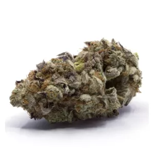 Neon Trees Hybrid Anytime Weed 7g – Herban Legends