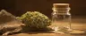 Aloha weed strain flowers in glass jar