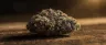 Black Jack cannabis strain dense trichome-covered buds