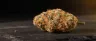 Rockstar weed indica strain dense purple-tinged buds