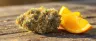 Tangerine Dream cannabis strain close-up buds