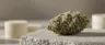 Afpak weed strain flower close-up
