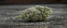 Super Sour Diesel weed buds close up