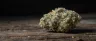 Close-up of Sour Kush weed buds with trichomes