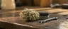 Allen Wrench weed strain buds