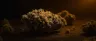 King Louis weed dense frosty indica buds close-up