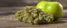 Sour Apple cannabis strain buds close up