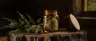 Appalachian Power weed strain dense indica flower