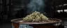 Jet Fuel cannabis strain dense green nugs closeup
