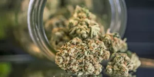 QP