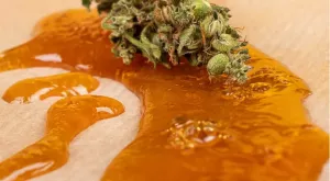 Wax
