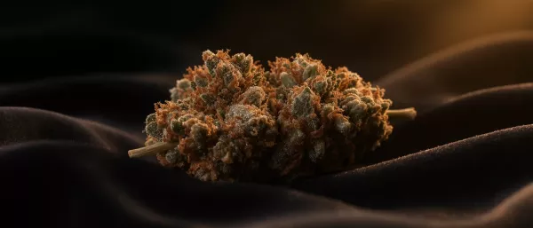 Weed