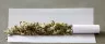 assorted cannabis rolling papers fanned out on a surface