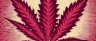 Mota cannabis slang cultural roots