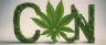 CBN cannabinol crystalline compound from aged cannabis
