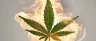 Close-up of cannabis combustion and burning flower
