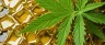 Amber shatter cannabis concentrate slab close-up