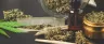 pre-rolled cannabis cone ready to fill