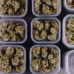 Nug
