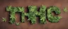 Phytocannabinoid compounds from the cannabis plant