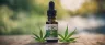 CBC cannabichromene molecular structure diagram