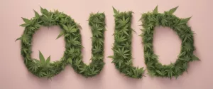Ouid