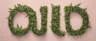 Dense resinous ouid cannabis flower close-up
