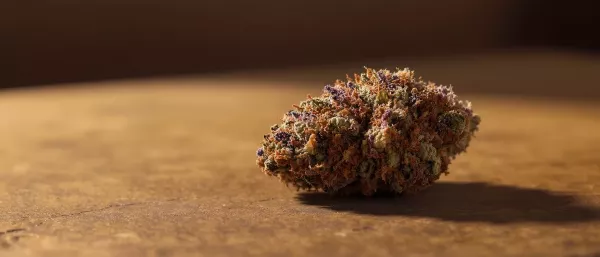 Berry Noir weed strain frosty purple buds