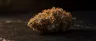 Zoom Pie cannabis strain dense resinous buds