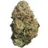 Dense cannabis bud covered in frosty trichomes with green, orange, and hints of purple hues.