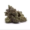 High-quality cannabis buds with trichomes, showcasing green, purple, and orange hues against a white background.
