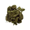 Dried green plant material with a textured surface, clustered together.
